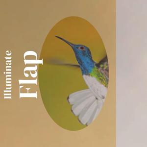 Illuminate Flap