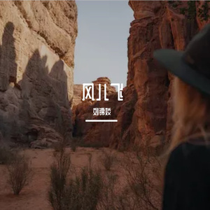 风儿要飞向哪里