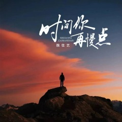 时间你再慢点 (DJ沈念版)