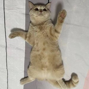 雨夜的思念 伴奏