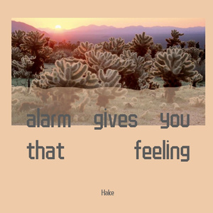 alarm gives you that feeling