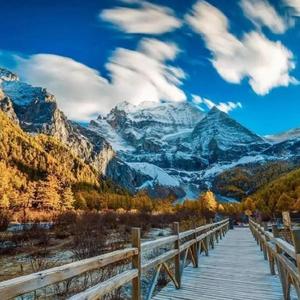 你为我带来了一阵温柔的风