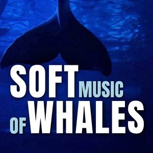 Whale