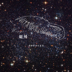 翅膀