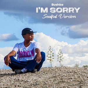 I'm Sorry by Bushka (Soulful Version)