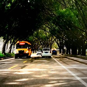 有生之年（String Demo）