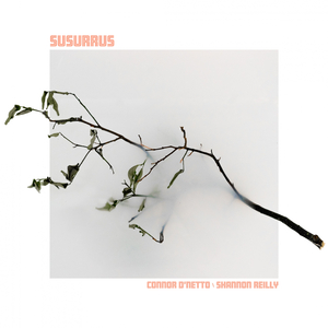 susurrus (sonata no. 1 for solo violin)