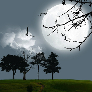 잠을 위한 명상 자장가