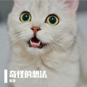 偷偷摸摸的小猫咪