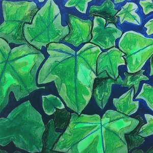 Don't Call Me Friend