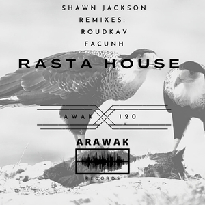 Rasta House (Roudkav Remix)