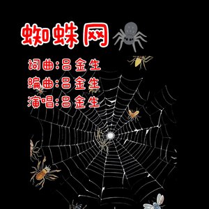 蜘蛛网