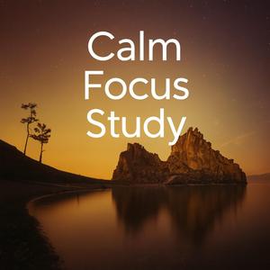 Calm Study Flow
