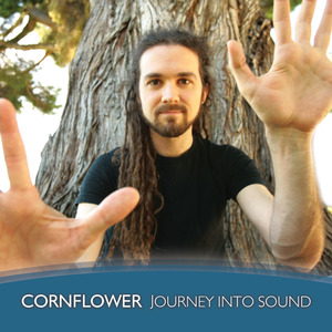 Journey into Sound