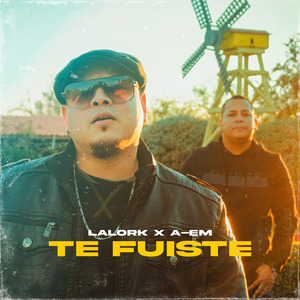 Te Fuiste (Remix)