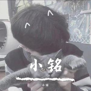溜鲸鱼的猫