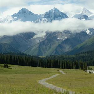 音药 (五音羽调入肾)