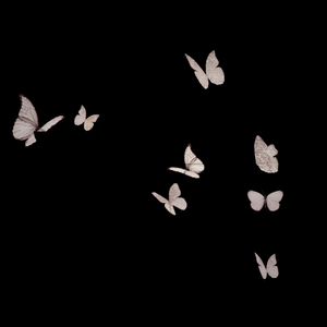 Just A Freestyle LOL