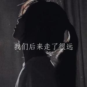 我们后来走了很远