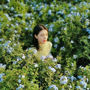 imagine（cover John Lennon）