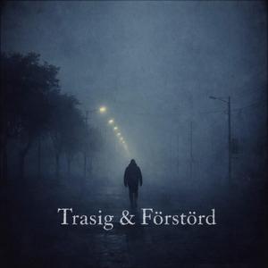 Trasig & Förstörd
