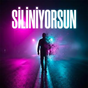 Siliniyorsun