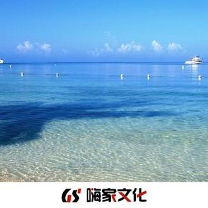 老八秘制小汉堡 (DJ版)