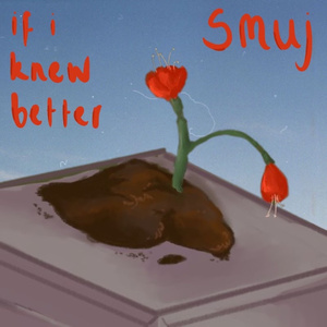 if i knew better