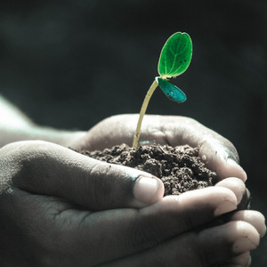 Leben schenken (Live)