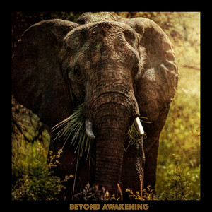 Beyond Awakening (DJ Vuduu Magik Wonder Remix)