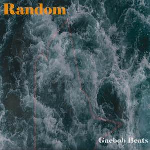 Random (Electro House Beat)