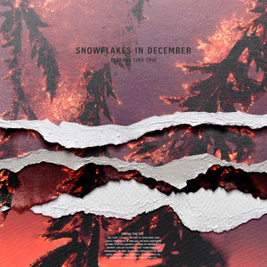 Snowflakes in December