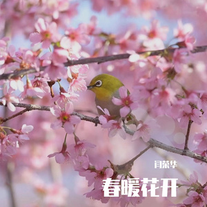 春暖花开