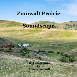 House Wren, Western Meadowlark, and Brewer's Blackbird