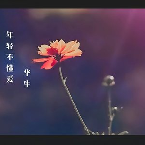 年轻不懂爱-华生版