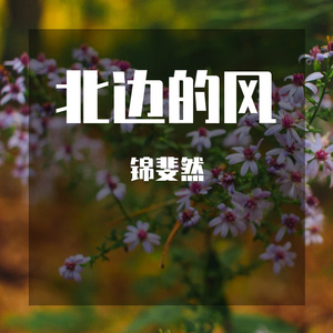 北边的风