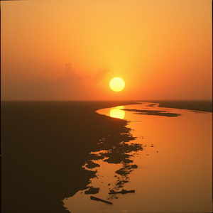 Muddy Waters Of The Mind II