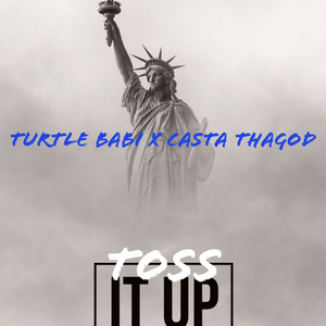 Toss it up (feat. Turtle babi)