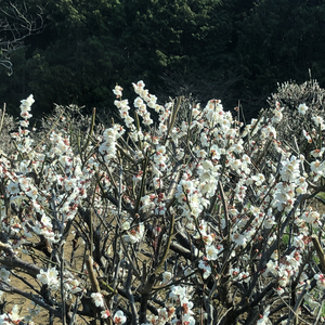 다시 만날 수 있다면