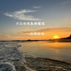 我怀念的过去都回不去了