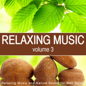 Singing Bowls Session in the Ancient Forest