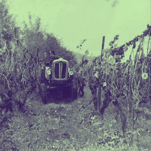 Vértigo