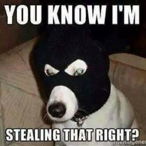 theft