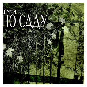 Ой, у полі, в полі сухий дуб розвився