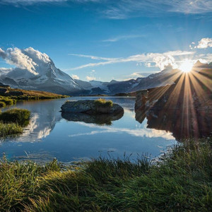 アーモーニンググローリー