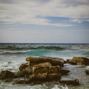 Ven de los arrecifes