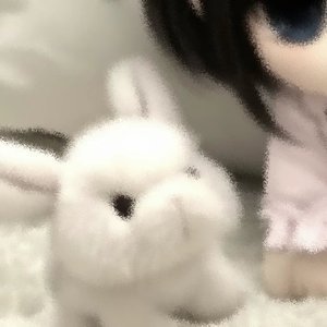 王菲-如愿(辽C嘚瑟伟bounce mix).mp3（张宏伟 ）