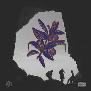 VENTANALES (feat. MXNX & Elchico)