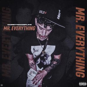 MR.EVERYTHING