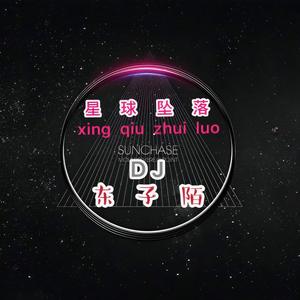 开往安河桥北 (DJ版)